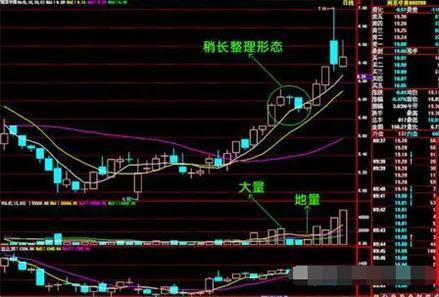 中国开头的股票有退市的吗,开头的股票是什么股票